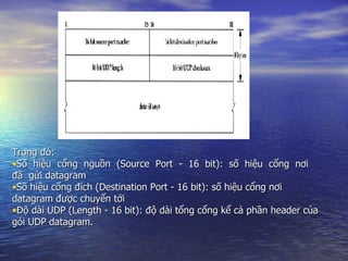 Trong đó: Số  hiệu  cổng  nguồn  (Source  Port  -  16  bit):  số  hiệu  cổng  nơi  đã  gửi datagram Số hiệu cổng đích (Destination Port - 16 bit): số hiệu cổng nơi datagram được chuyển tới Độ dài UDP (Length - 16 bit): độ dài tổng cổng kể cả phần header của gói UDP datagram. 