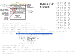 3a 98 05 cb
fd d3 08 27
27 ed de 7d
50 18 fc 00
be 68 00 00
68 00 65 00
6c 00 6c 00
6f 00 20 00
77 00 6f 00
72 00 6c 00
64 00 21 00
Source Port (0x3a98): 15000
Destination Port (0x05cb): 1483
Sequence Number (0xfdd30827): 4258465831
Acknowledgment Number (0x27edde7d): 669900413
Header Length (upper 4 bits is # words 0x5): 5 words or 20 bytes
Flags (0x18): 0001 1000
Receive Window (0xfc00): 64512
Checksum (0xbe68): Correct
Urgent Data Pointer (0x0000): Not Used
Data (68 00 65 00 6c 00 6c 00 6f 00 20 00 77 00 6f 00 6c 00 64 00 21 00):
hello world!
Bytes in TCP
Segment:
 