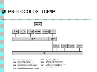 PROTOCOLOS  TCP/IP 