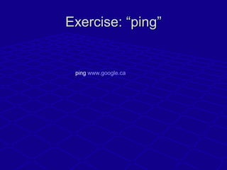 Exercise: “ping”Exercise: “ping”
ping www.google.ca
 