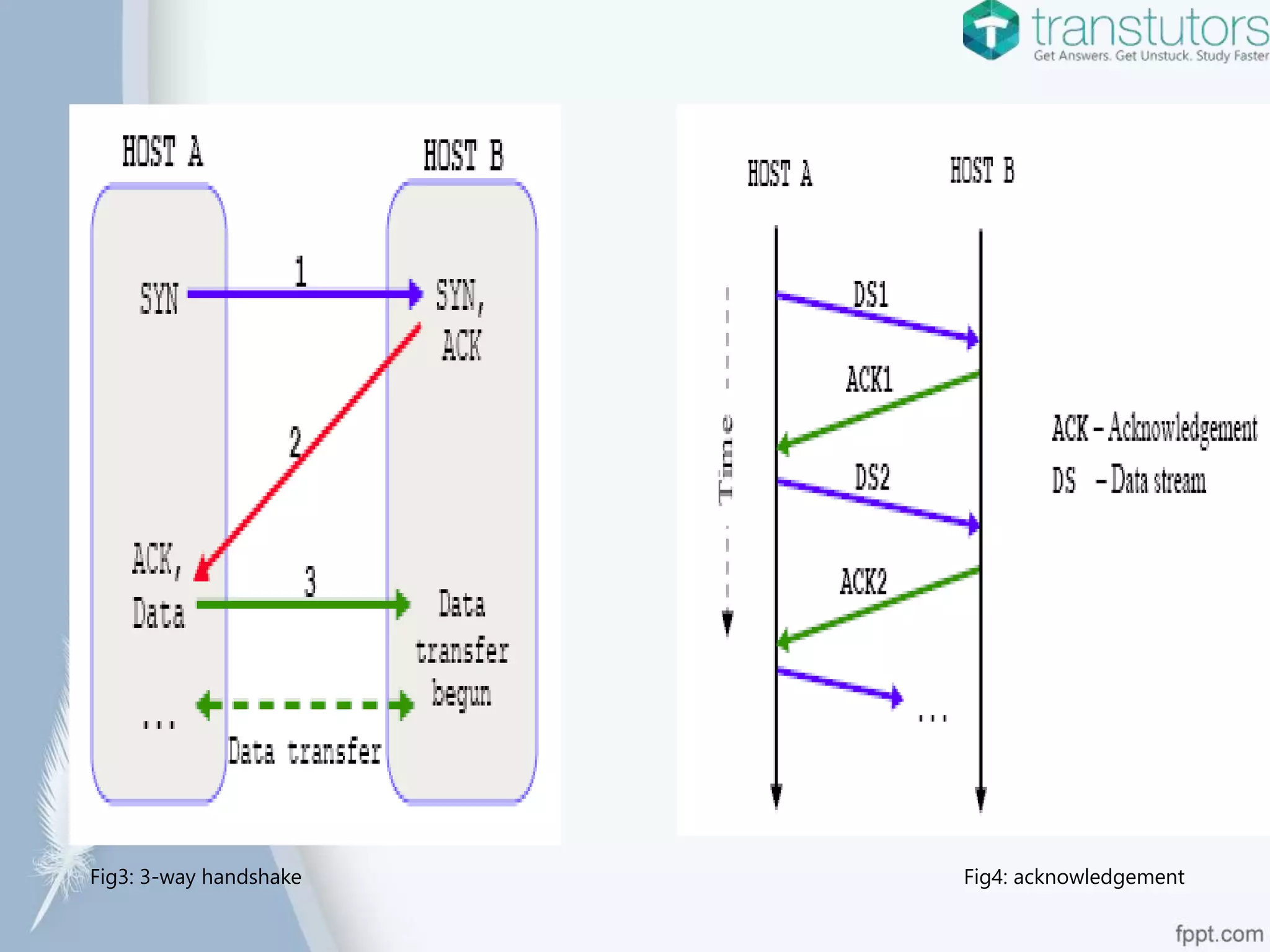 TCP IP Model | Computer Science | PPTX | Computer Networking | Computing