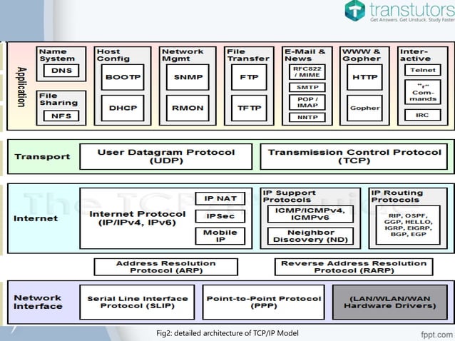 TCP IP Model | Computer Science | PPTX | Computer Networking | Computing