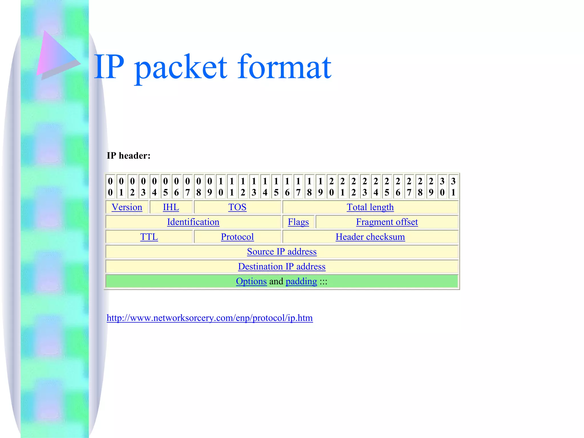 IP packet format 