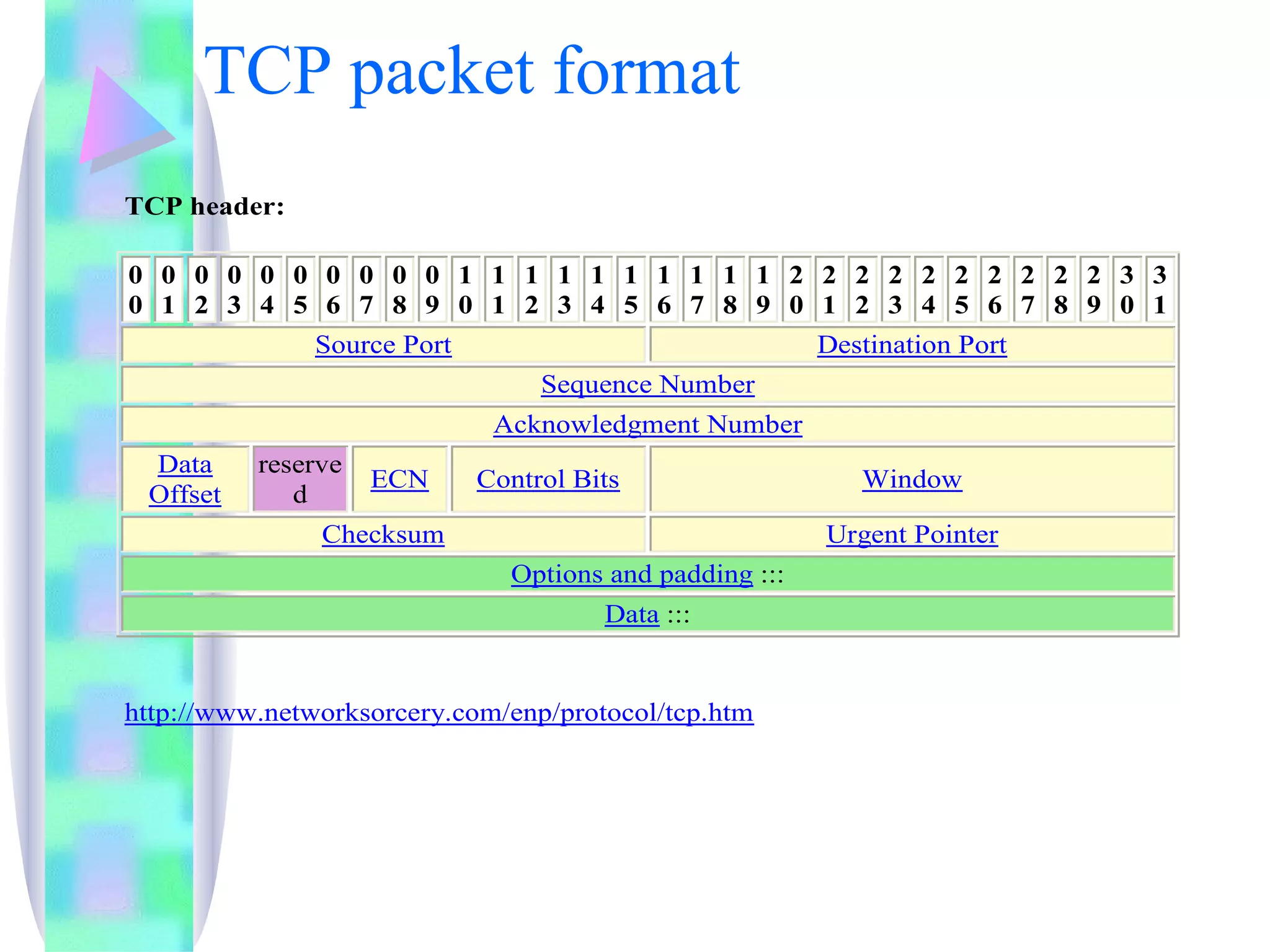 TCP packet format 