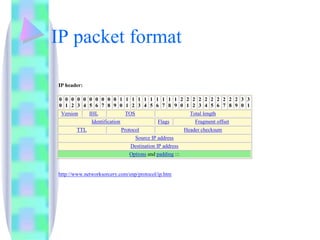 IP packet format 
