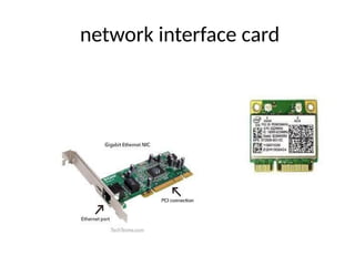 network interface card
 