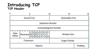 Introducing TCP
TCP Header
 