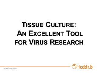 www.icddrb.org
TISSUE CULTURE:
AN EXCELLENT TOOL
FOR VIRUS RESEARCH
 