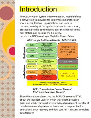 TCP & UDP protocols | PDF