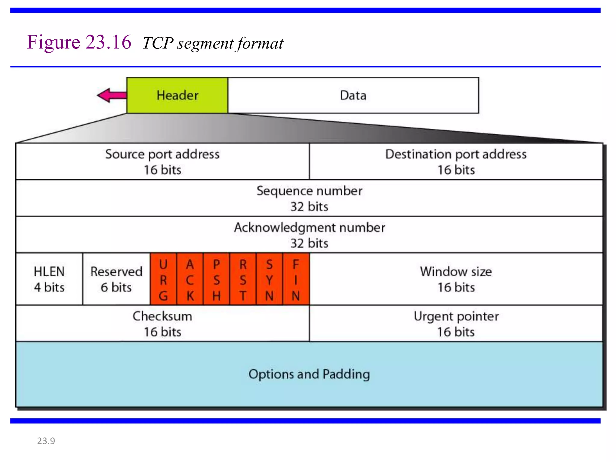Figure 23.16 TCP segment format 
23.9 
 