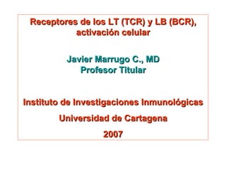 Receptores de los LT (TCR) y LB (BCR), activación celular Javier Marrugo C., MD Profesor Titular Instituto de Investigaciones Inmunológicas Universidad de Cartagena 2007 