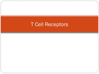 T Cell Receptors
 