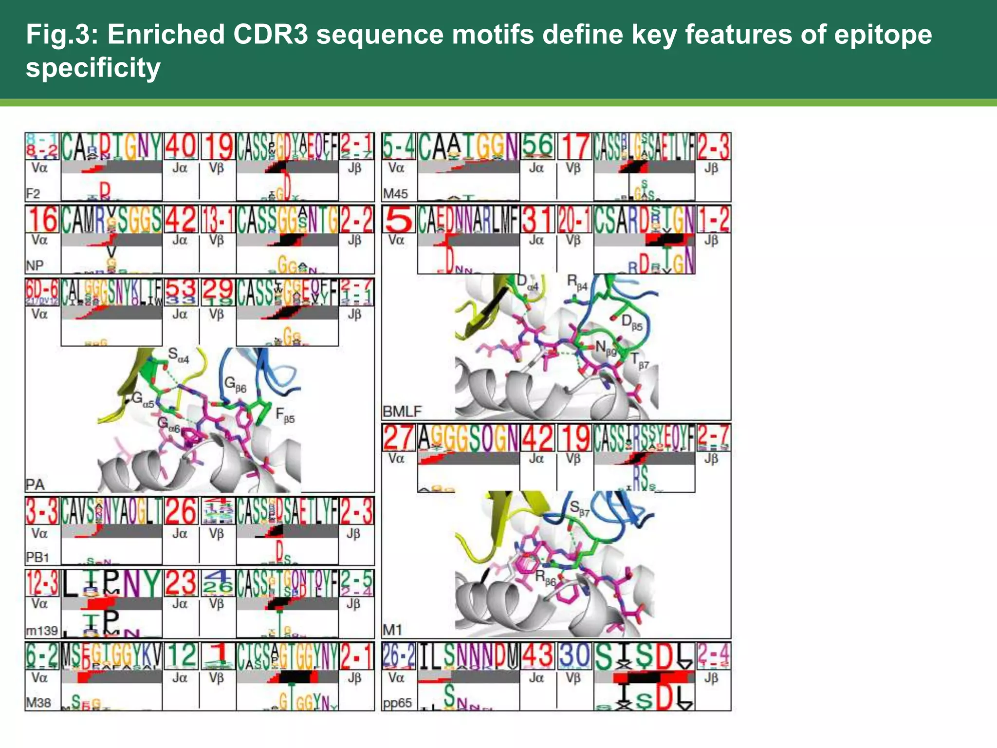 Fig.3: Enriched CDR3 sequence motifs define key features of epitope
specificity
 