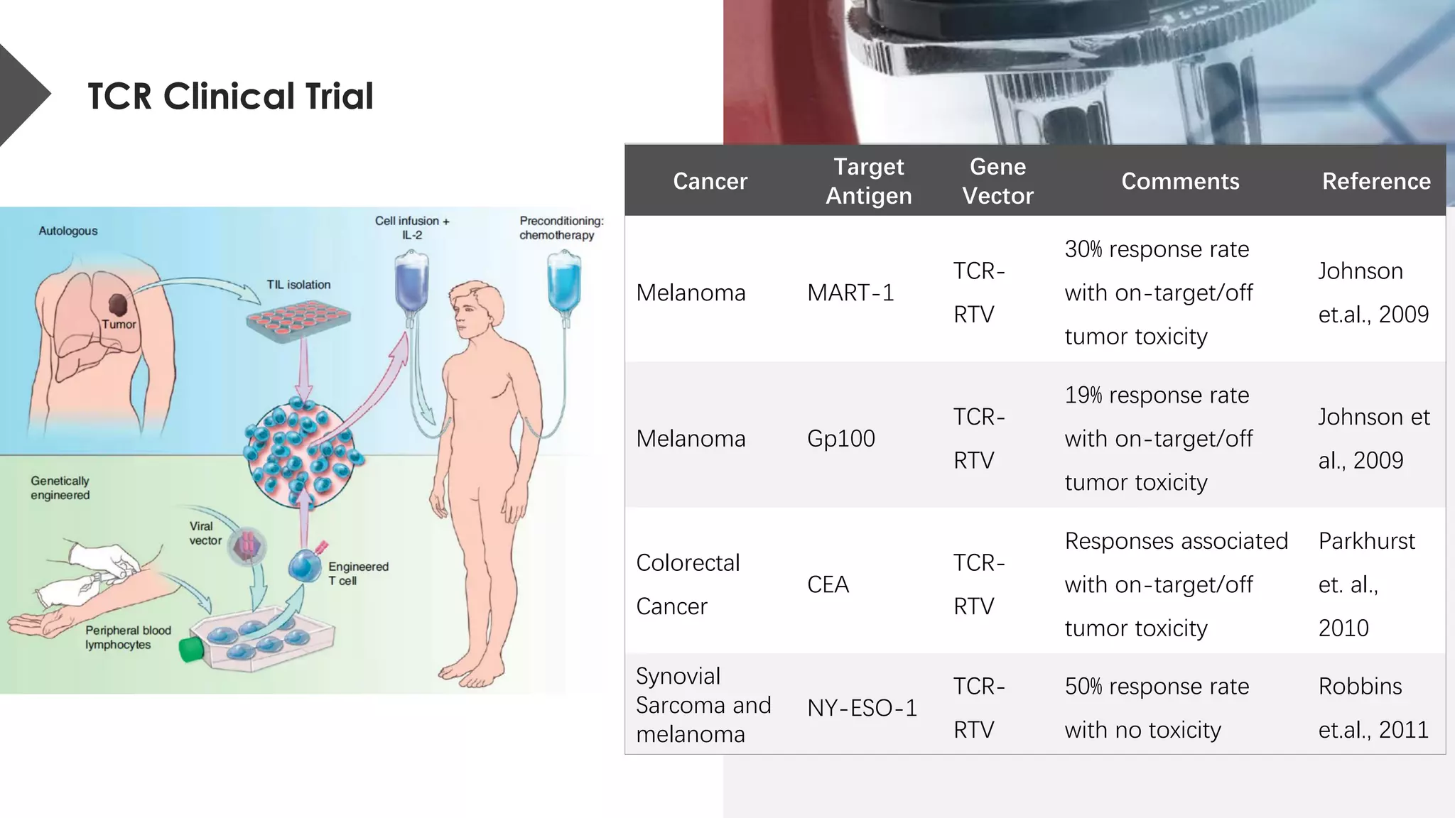 Cancer
Target
Antigen
Gene
Vector
Comments Reference
Melanoma MART-1
TCR-
RTV
30% response rate
with on-target/off
tumor toxicity
Johnson
et.al., 2009
Melanoma Gp100
TCR-
RTV
19% response rate
with on-target/off
tumor toxicity
Johnson et
al., 2009
Colorectal
Cancer
CEA
TCR-
RTV
Responses associated
with on-target/off
tumor toxicity
Parkhurst
et. al.,
2010
Synovial
Sarcoma and
melanoma
NY-ESO-1
TCR-
RTV
50% response rate
with no toxicity
Robbins
et.al., 2011
TCR Clinical Trial
 