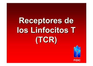 Receptores de
los Linfocitos T
     (TCR)

               FIDIC
 