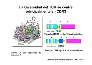 Tcr Y Plasmodium