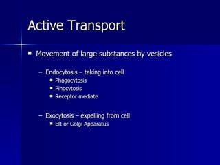 Active Transport Movement of large substances by vesicles Endocytosis – taking into cell Phagocytosis Pinocytosis Receptor mediate Exocytosis – expelling from cell ER or Golgi Apparatus 