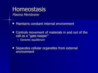 Homeostasis Plasma Membrane Maintains constant internal environment Controls movement of materials in and out of the cell as a “gate keeper” Dynamic equilibrium Separates cellular organelles from external environment  
