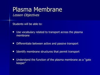 Plasma Membrane