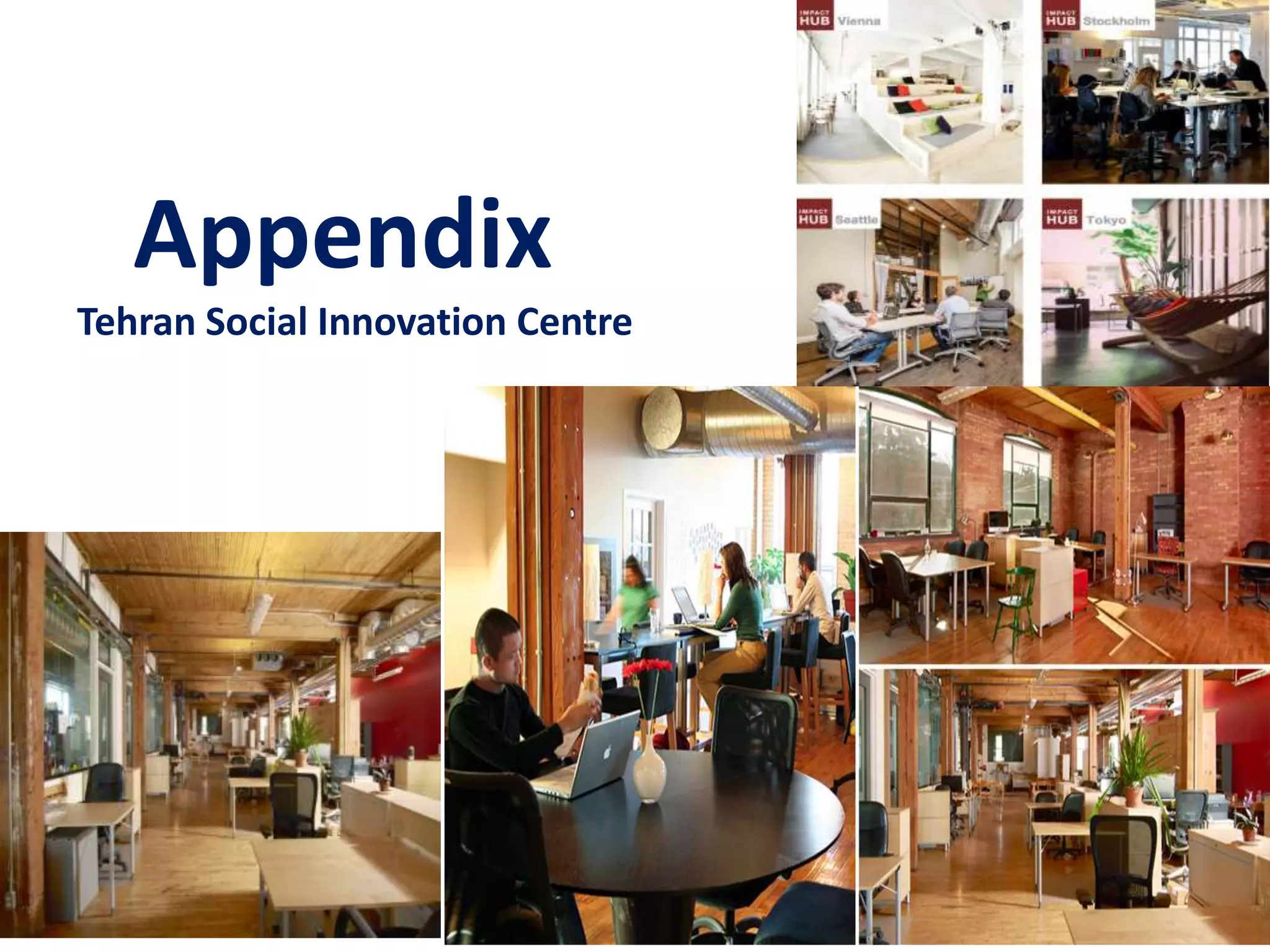 Appendix
Tehran Social Innovation Centre
 