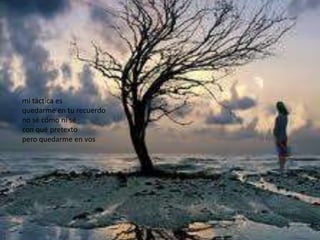 mi táctica es
quedarme en tu recuerdo
no sé cómo ni sé
con qué pretexto
pero quedarme en vos
 