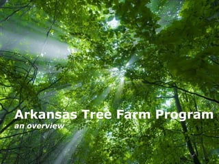 Free Powerpoint Templates
Page 1
Free Powerpoint Templates
Arkansas Tree Farm Program
an overview
 