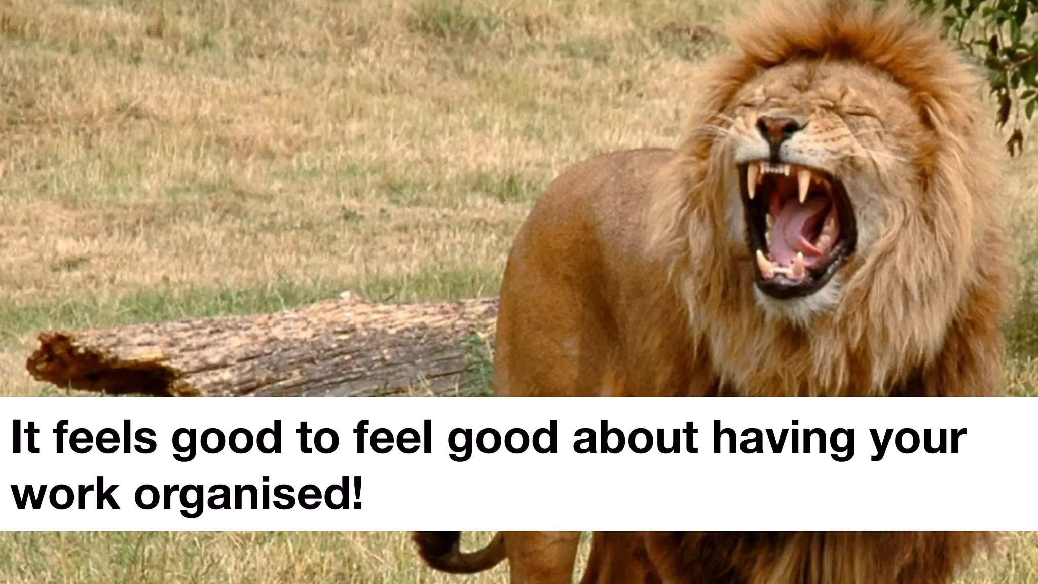 It feels good to feel good about having your
work organised!
 