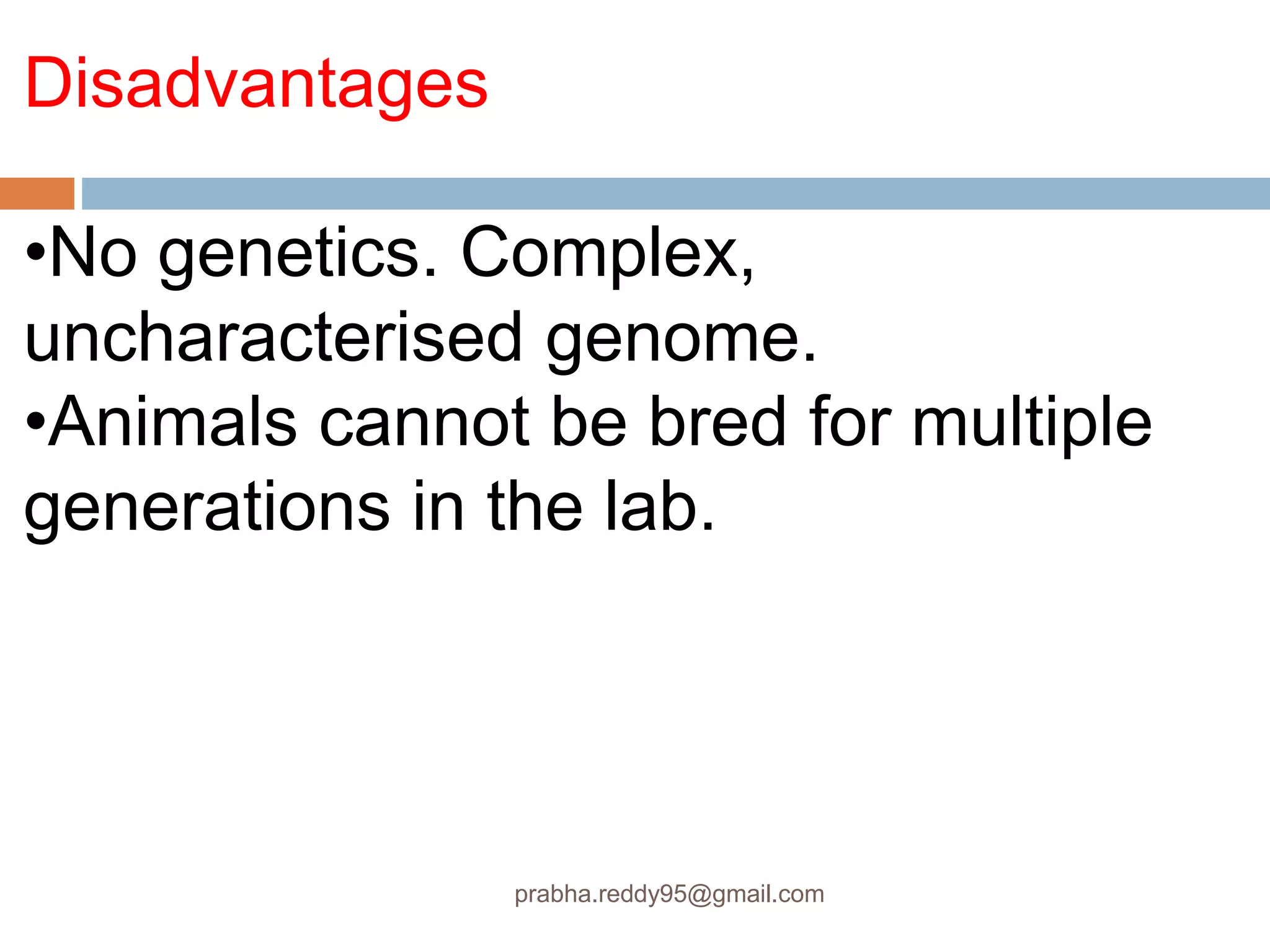 Disadvantages
•No genetics. Complex,
uncharacterised genome.
•Animals cannot be bred for multiple
generations in the lab.
prabha.reddy95@gmail.com
 