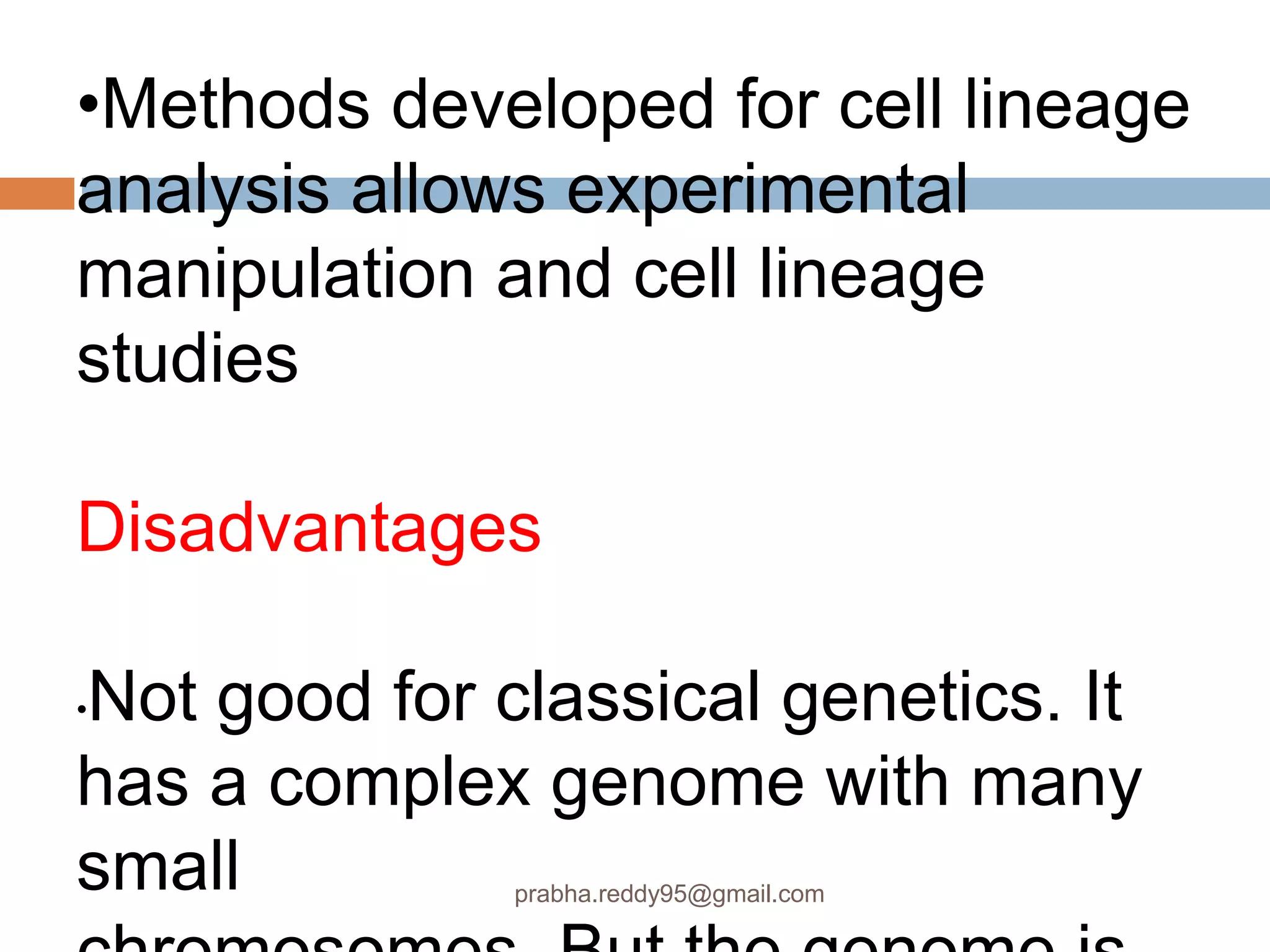 •Methods developed for cell lineage
analysis allows experimental
manipulation and cell lineage
studies
Disadvantages
•Not good for classical genetics. It
has a complex genome with many
small prabha.reddy95@gmail.com
 