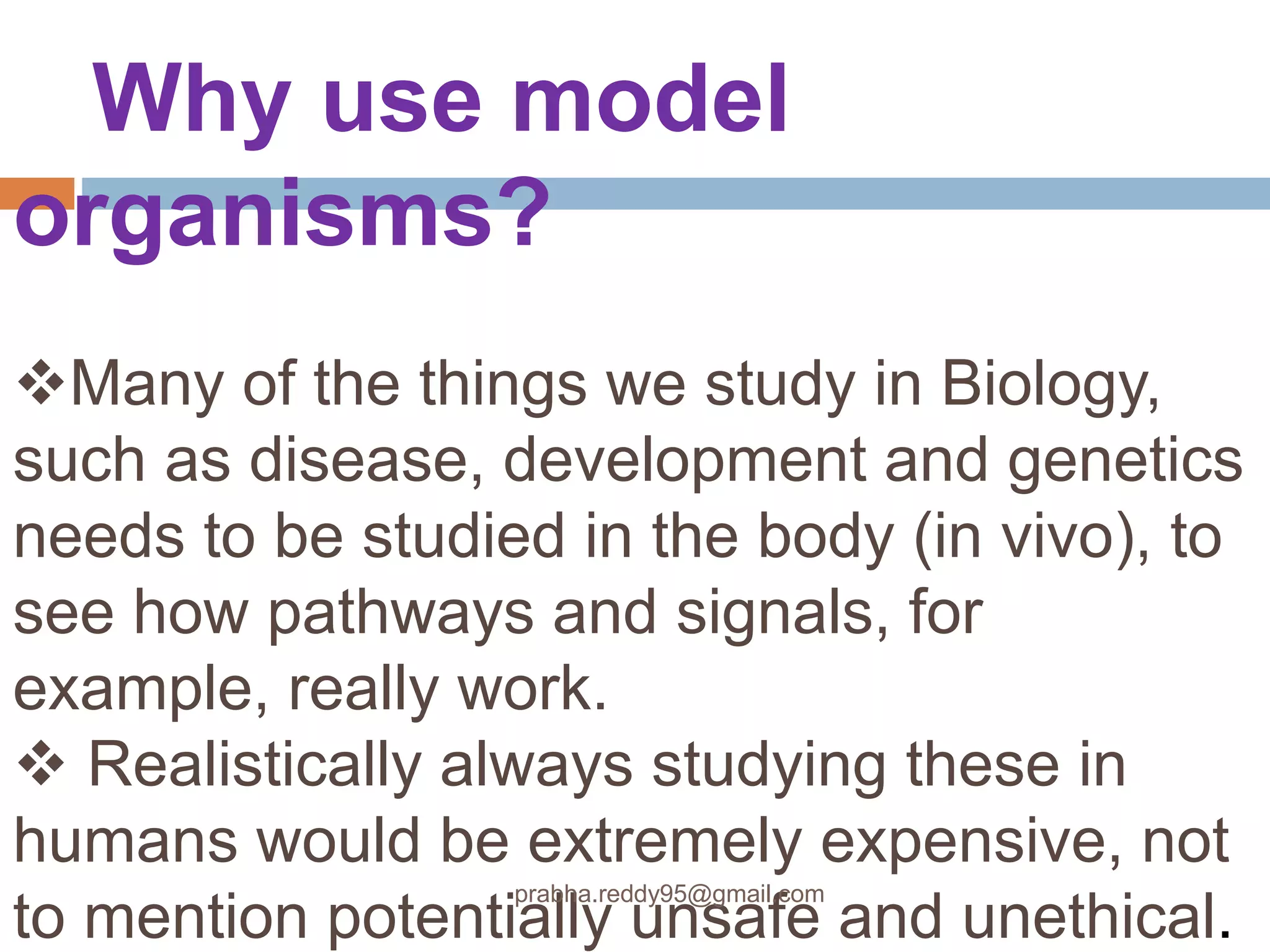 Why use model
organisms?
Many of the things we study in Biology,
such as disease, development and genetics
needs to be studied in the body (in vivo), to
see how pathways and signals, for
example, really work.
 Realistically always studying these in
humans would be extremely expensive, not
to mention potentially unsafe and unethical.
prabha.reddy95@gmail.com
 