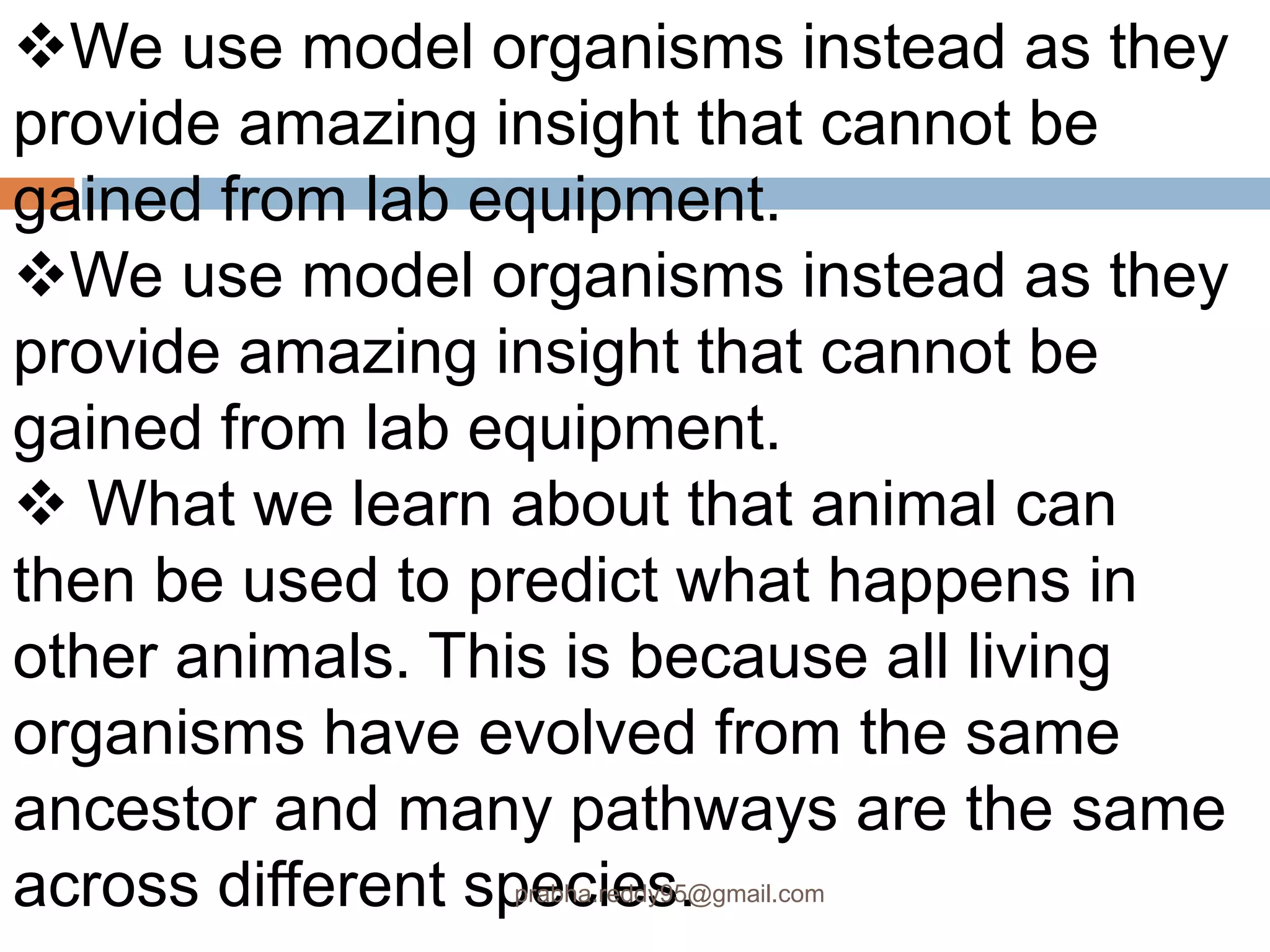 We use model organisms instead as they
provide amazing insight that cannot be
gained from lab equipment.
We use model organisms instead as they
provide amazing insight that cannot be
gained from lab equipment.
 What we learn about that animal can
then be used to predict what happens in
other animals. This is because all living
organisms have evolved from the same
ancestor and many pathways are the same
across different species.prabha.reddy95@gmail.com
 