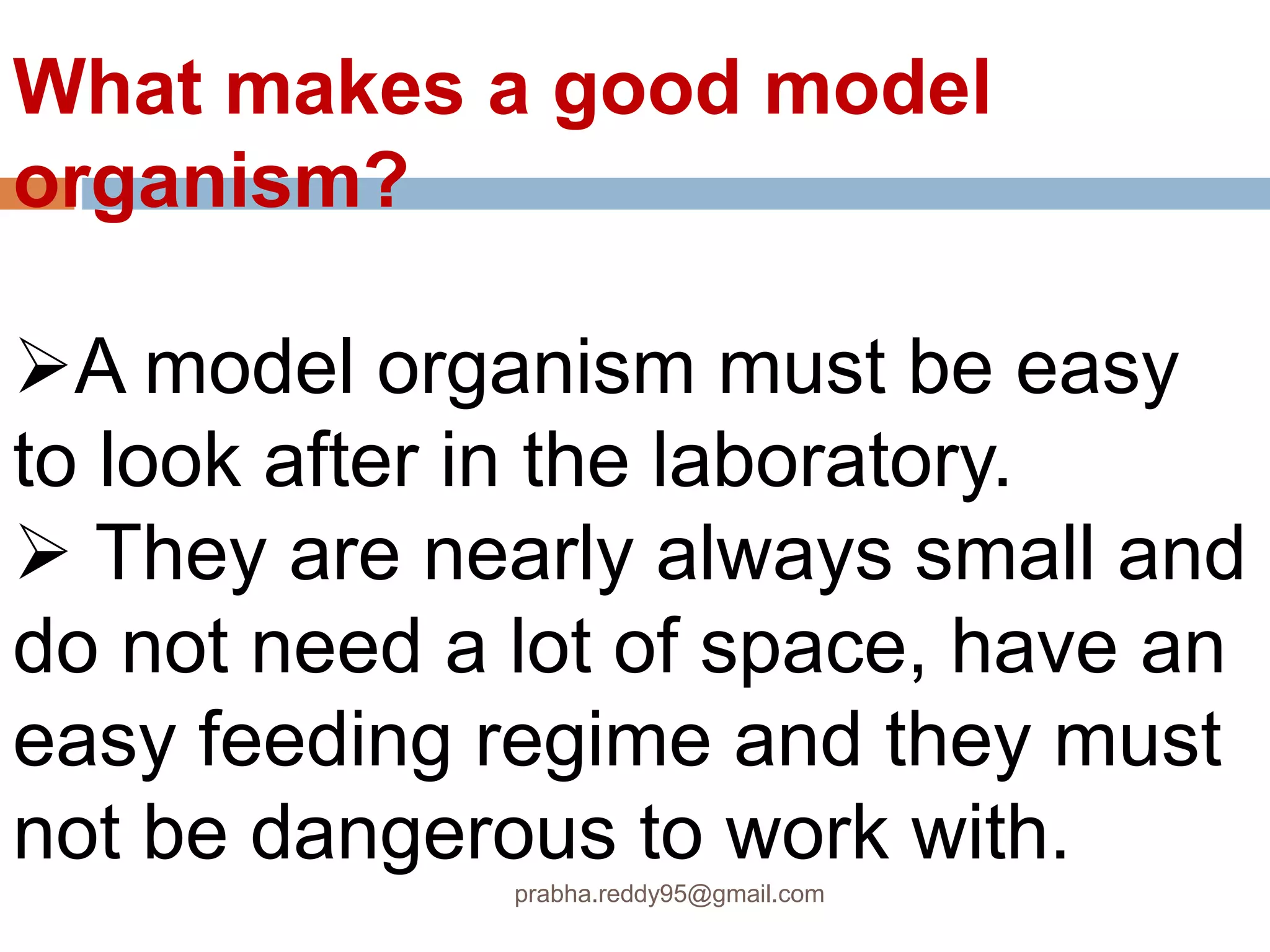 What makes a good model
organism?
A model organism must be easy
to look after in the laboratory.
 They are nearly always small and
do not need a lot of space, have an
easy feeding regime and they must
not be dangerous to work with.
prabha.reddy95@gmail.com
 
