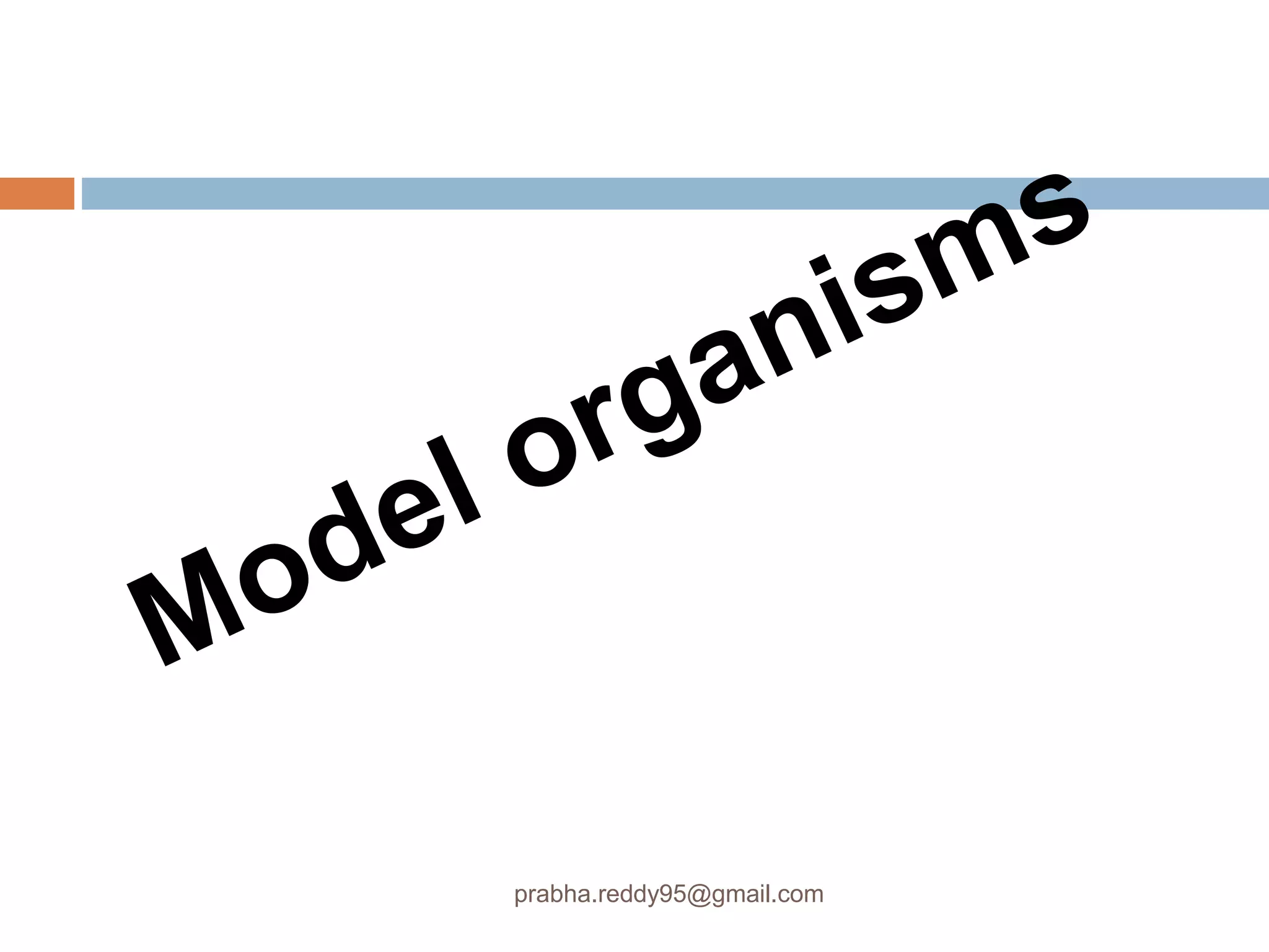 prabha.reddy95@gmail.com
 