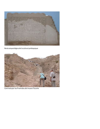 Restoarqueológicode laculturaLambayeque
Caminatapor lasPiramidesdel museoTúcume
 