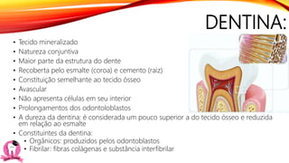 DENTINA:
• Tecido mineralizado
• Natureza conjuntiva
• Maior parte da estrutura do dente
• Recoberta pelo esmalte (coroa) e cemento (raiz)
• Constituição semelhante ao tecido ósseo
• Avascular
• Não apresenta células em seu interior
• Prolongamentos dos odontoloblastos
• A dureza da dentina: é considerada um pouco superior a do tecido ósseo e reduzida
em relação ao esmalte
• Constituintes da dentina:
• Orgânicos: produzidos pelos odontoblastos
• Fibrilar: fibras colágenas e substância interfibrilar
 