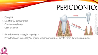 PERIODONTO:
• Gengiva
• Ligamento periodontal
• Cemento radicular
• Osso alveolar
• Periodonto de proteção : gengiva
• Periodonto de sustentação: ligamento periodontal, cemento radicular e osso alveolar
https://rafaelrighi.com.br/odonto/periodonto-
depois-da-escova-de-do-fio-dental-o-melhor-
amigo-do-dente/
 