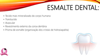 ESMALTE DENTAL:
• Tecido mais mineralizado do corpo humana
• Translucido
• Avascular
• Revestimento externo da coroa dentária
• Prisma de esmalte (organização dos cristais de hidroxiapatita)
 