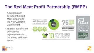 The Red Meat Profit Partnership (RMPP)
• A collaboration
between the Red
Meat Sector and
the New Zealand
Government.
• To drive sustainable
productivity
improvements in
the sheep and beef
sector
 