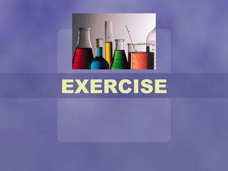 EXERCISE 