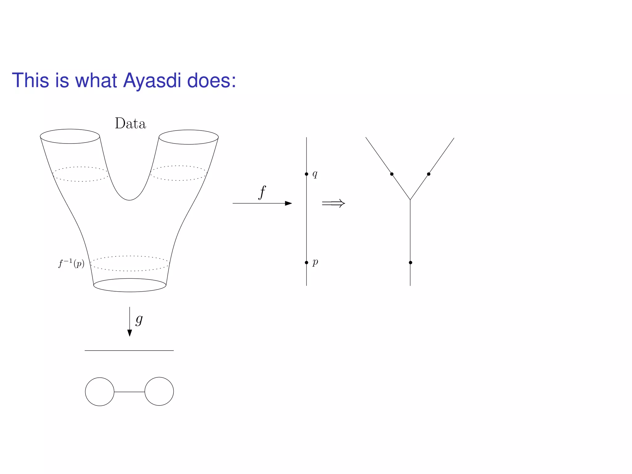 This is what Ayasdi does:
f
pf−1
(p)
=⇒
q
g
Data
 