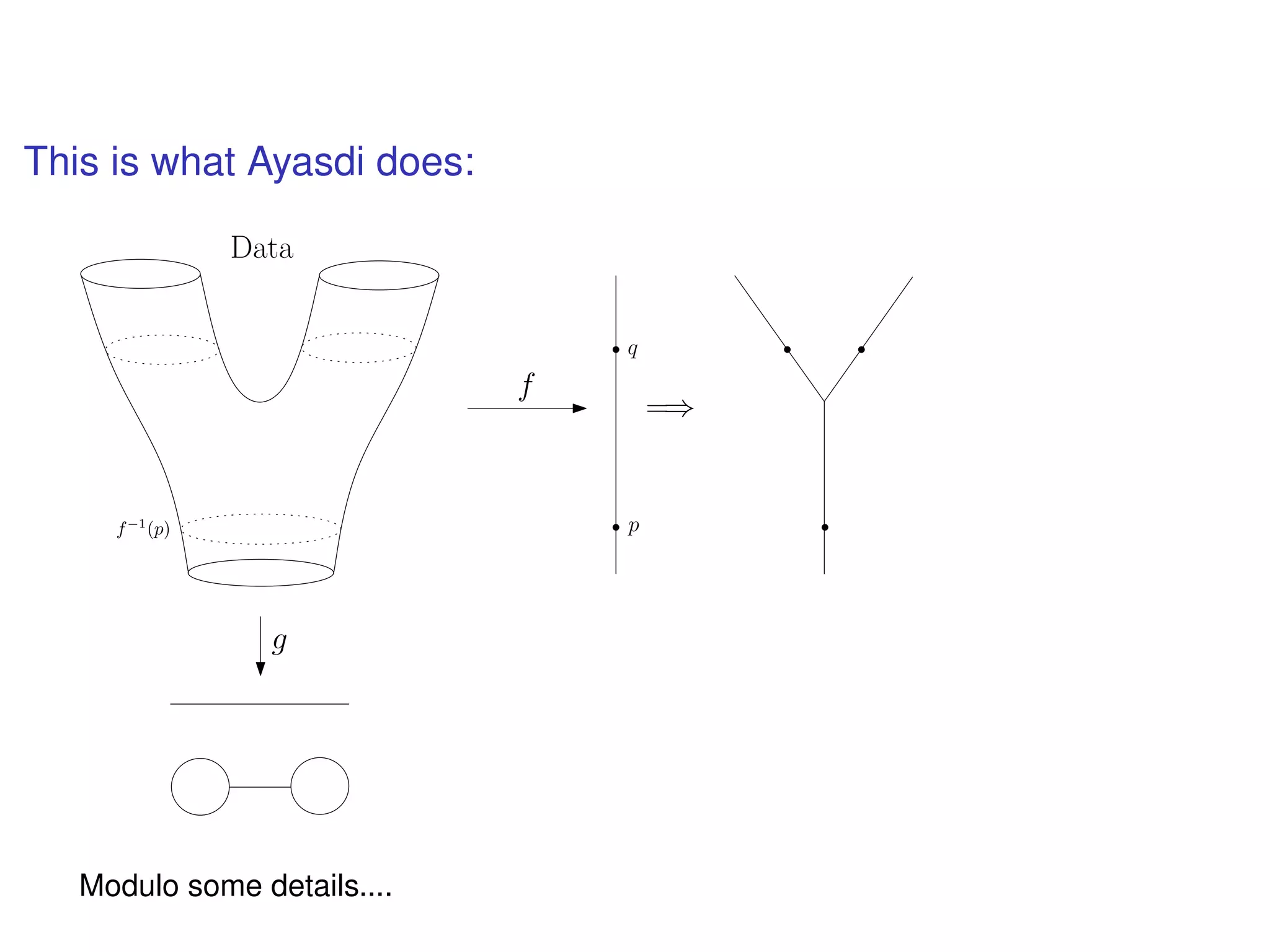 This is what Ayasdi does:
f
pf−1
(p)
=⇒
q
g
Data
Modulo some details....
 