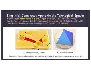Topological Data Analysis of Complex Spatial Systems | PDF