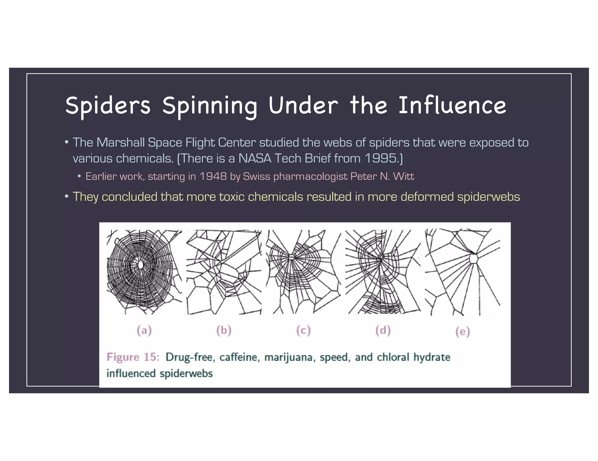 Spiders Spinning Under the Influence
• The Marshall Space Flight Center studied the webs of spiders that were exposed to
various chemicals. (There is a NASA Tech Brief from 1995.)
• Earlier work, starting in 1948 by Swiss pharmacologist Peter N. Witt
• They concluded that more toxic chemicals resulted in more deformed spiderwebs
 