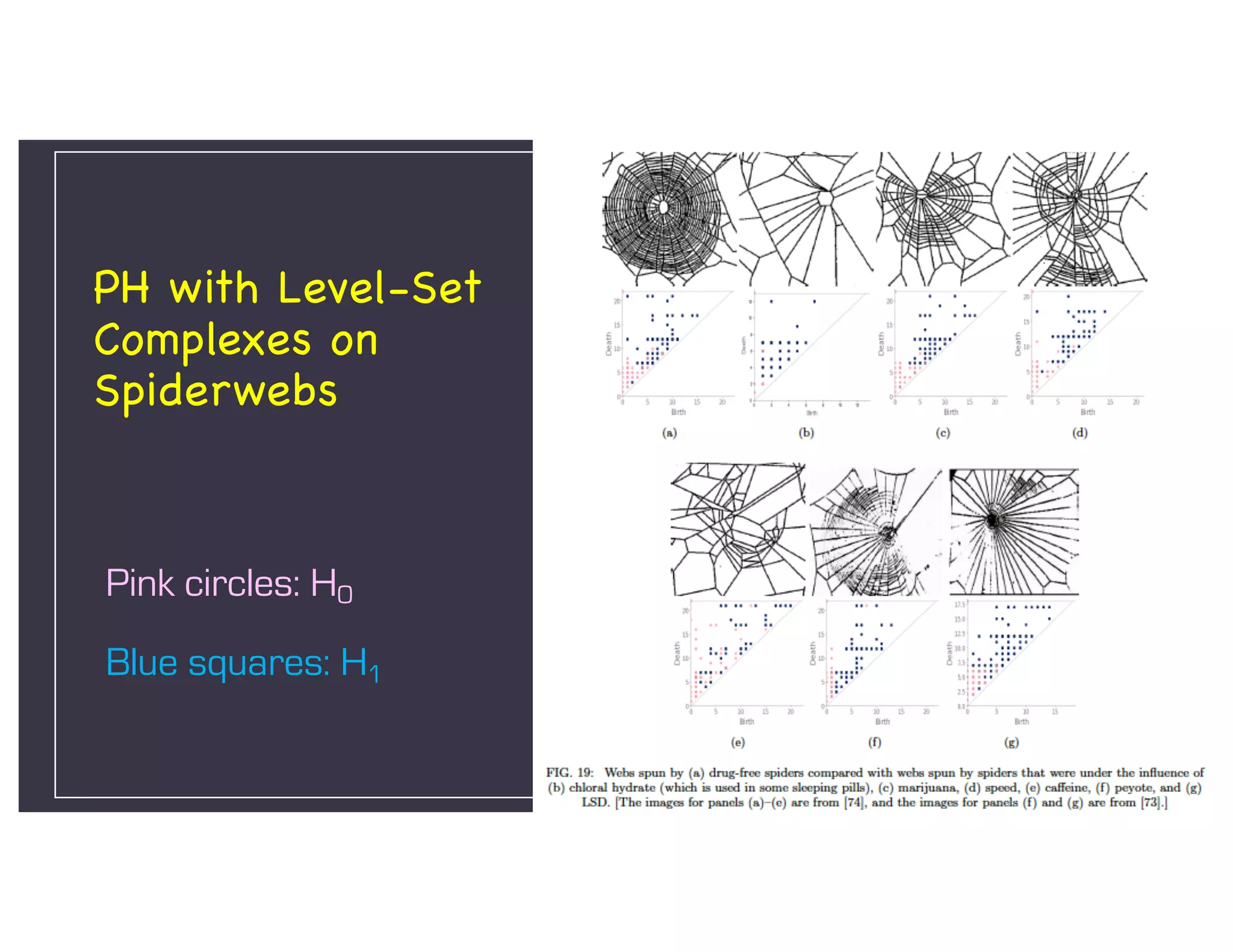 PH with Level-Set
Complexes on
Spiderwebs
Pink circles: H0
Blue squares: H1
 