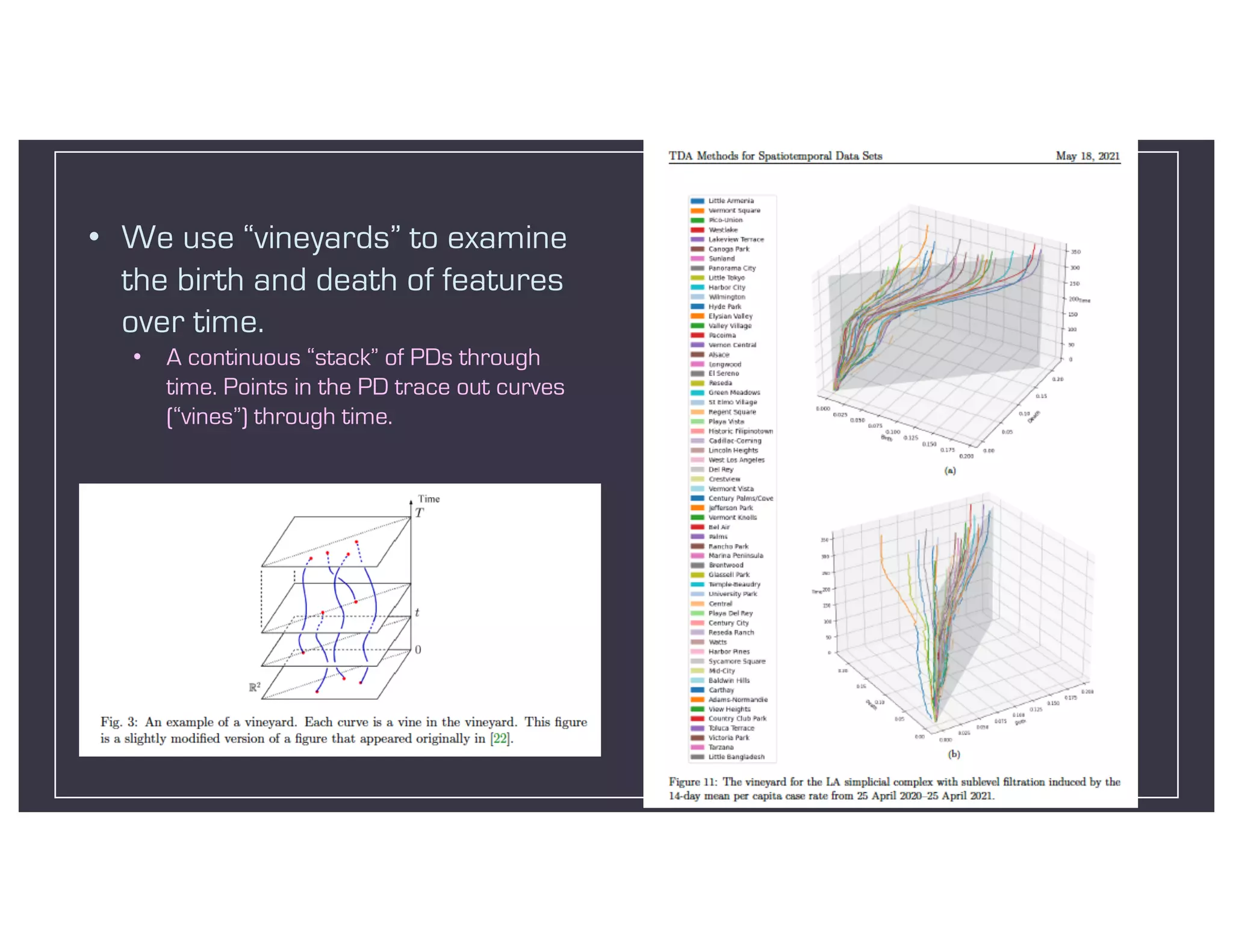 • We use “vineyards” to examine
the birth and death of features
over time.
• A continuous “stack” of PDs through
time. Points in the PD trace out curves
(“vines”) through time.
 