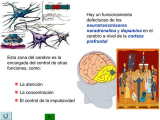 Hay un funcionamiento
                                      defectuoso de los
                                      neurotransmisores
                                      noradrenalina y dopamina en el
                                      cerebro a nivel de la corteza
                                      prefrontal


Esta zona del cerebro es la
encargada del control de otras
funciones, como:


      La atención
      La concentración
      El control de la impulsividad
 