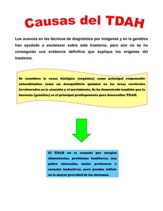 Los avances en las técnicas de diagnóstico por imágenes y en la genética
han ayudado a esclarecer sobre este trastorno, pero aún no se ha
conseguido una evidencia definitiva que explique los orígenes del
trastorno.

Se considera la causa biológica (orgánica) como principal responsable
entendiéndose como un desequilibrio químico en las áreas cerebrales
involucradas en la atención y el movimiento. Se ha demostrado también que la
herencia (genética) es el principal predisponente para desarrollar TDAH.

El TDAH no es causado por alergias
alimentarias, problemas familiares, una
pobre

educación,

malos

profesores

o

escuelas inefectivas, pero pueden influir
en la mayor gravedad de los síntomas.

 