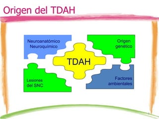 Origen del TDAH TDAH Neuroanatómico Neuroquímico <ul><ul><li>Lesiones  del SNC </li></ul></ul><ul><ul><li>Origen genético ...
