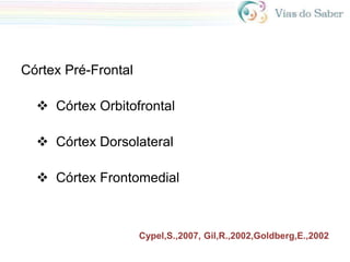Córtex Pré-Frontal
 Córtex Orbitofrontal
 Córtex Dorsolateral
 Córtex Frontomedial
Cypel,S.,2007, Gil,R.,2002,Goldberg,E.,2002
 