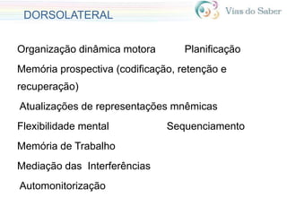 DORSOLATERAL
Organização dinâmica motora Planificação
Memória prospectiva (codificação, retenção e
recuperação)
Atualizações de representações mnêmicas
Flexibilidade mental Sequenciamento
Memória de Trabalho
Mediação das Interferências
Automonitorização
 